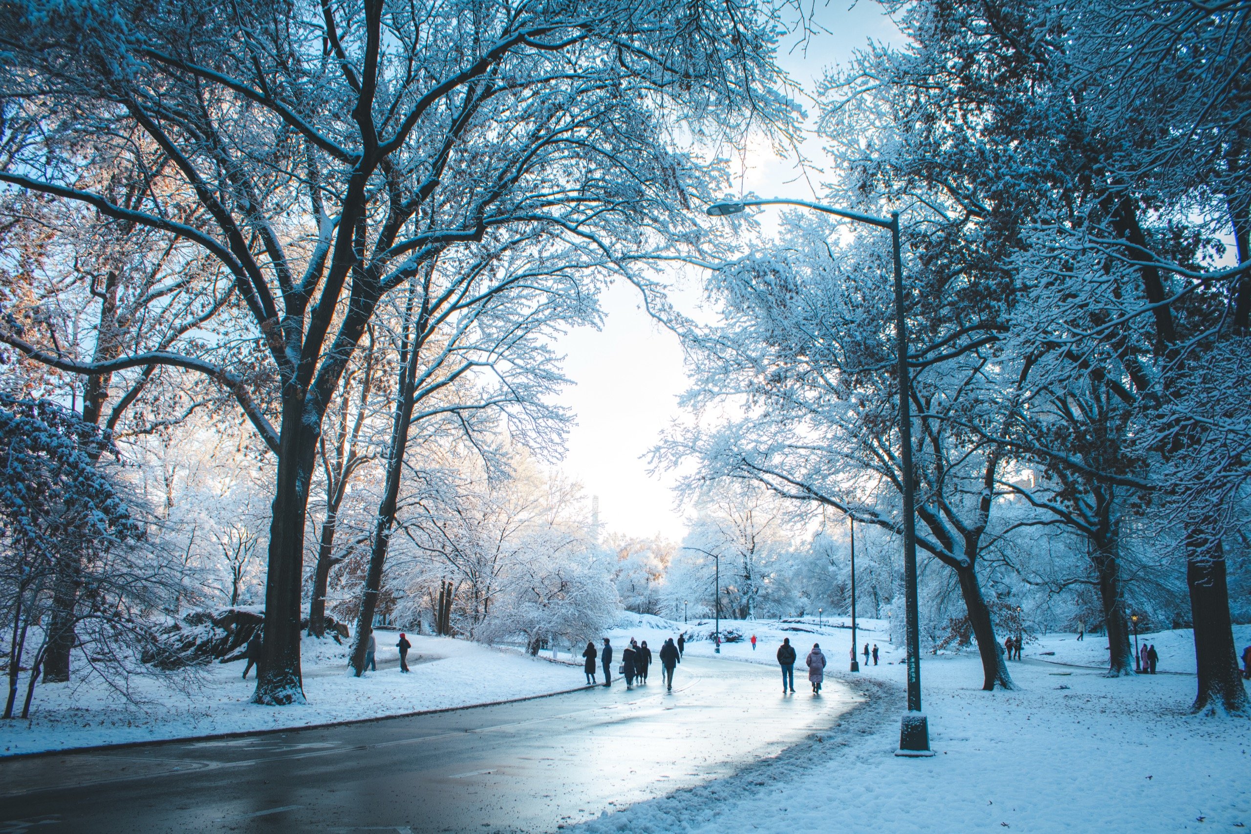 Central Park, New York City