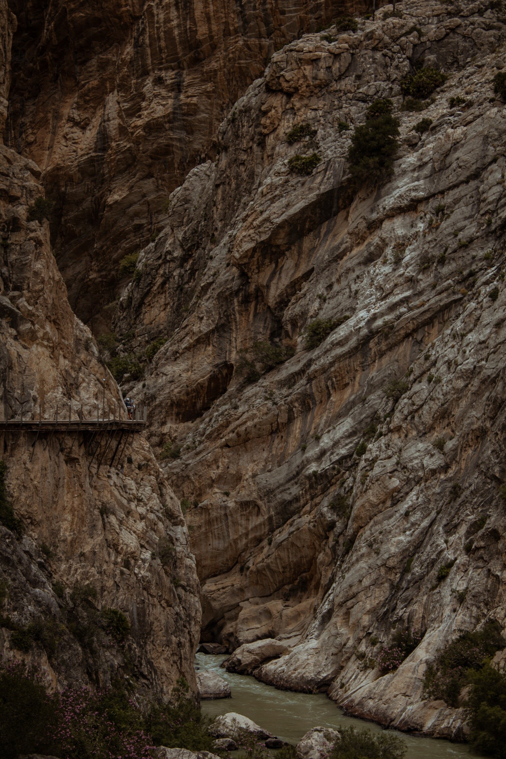 Montes de Málaga, Spain